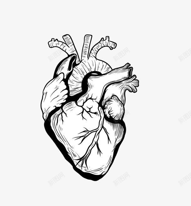 黑色创意心脏器官png免抠素材_新图网 https://ixintu.com 创意心脏 器官 矢量心脏 黑色心脏