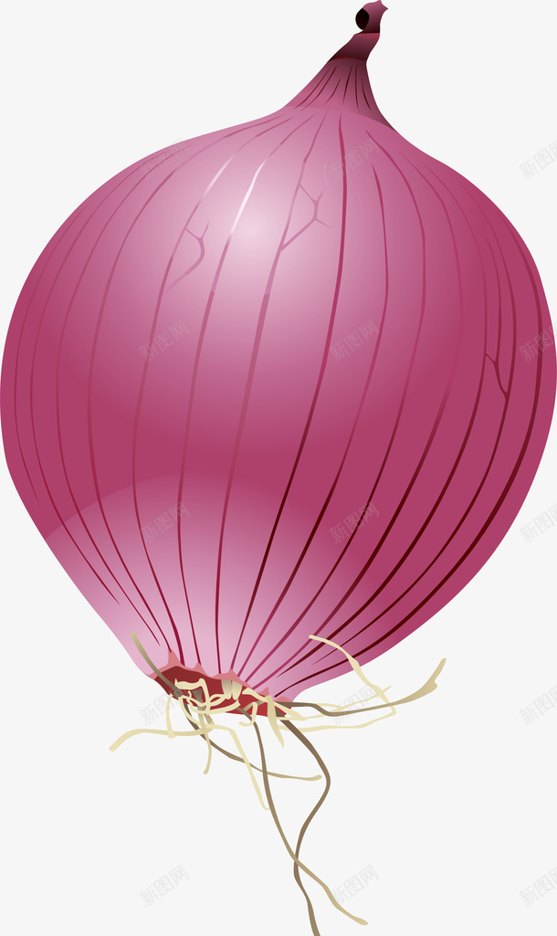紫色卡通洋葱png免抠素材_新图网 https://ixintu.com 卡通 洋葱 清新 简约 紫色 装饰图案 食材 餐饮