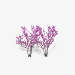 粉紫色小树素材