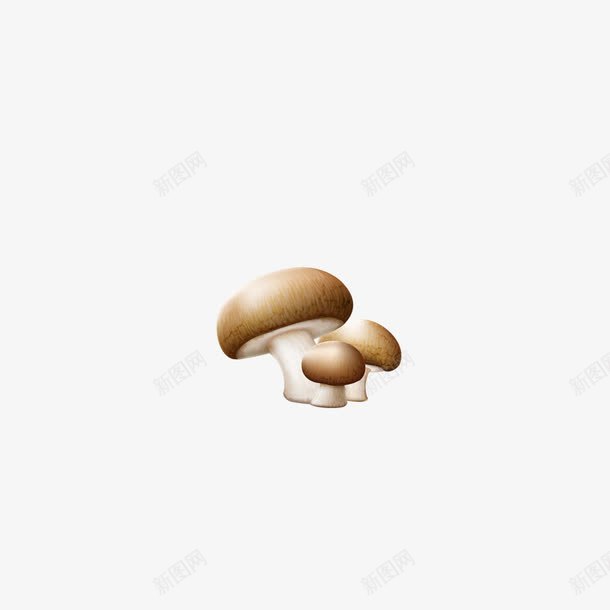 蘑菇png免抠素材_新图网 https://ixintu.com 棣欒弴 鍗 鎴垮瓙