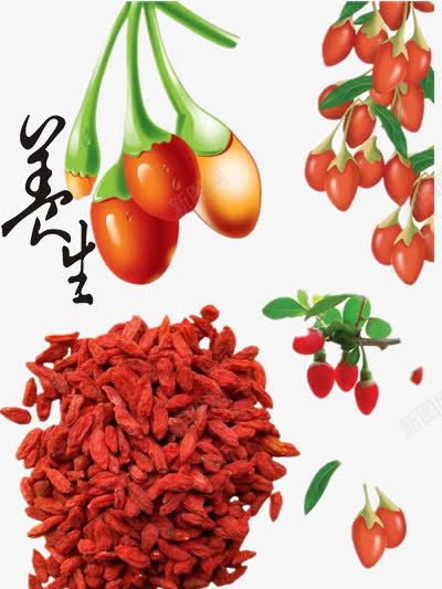 枸杞png免抠素材_新图网 https://ixintu.com 健康 养身 干果 泡茶 红色