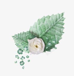 绿色小白花装饰素材