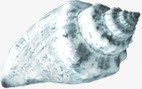 一个绿色白底海螺png免抠素材_新图网 https://ixintu.com 一个 海螺 白底 绿色