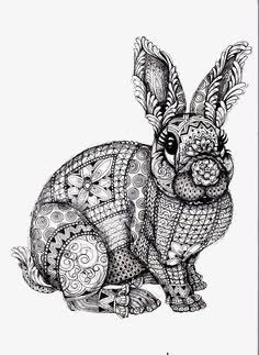 动物手术手术素描动物高清图片