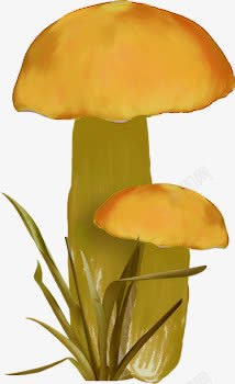 手绘黄色蘑菇素材