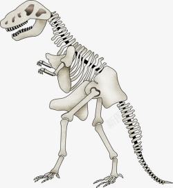卡通恐龙骨架素材