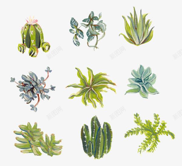 植物背景png免抠素材_新图网 https://ixintu.com 仙人掌 创意背景 植物 绿色 装饰素材