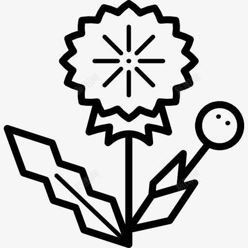 蒲公英图标png_新图网 https://ixintu.com Taraxacum 公园 园林 园艺 自然 花卉