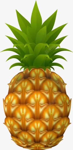菠萝装饰矢量图素材