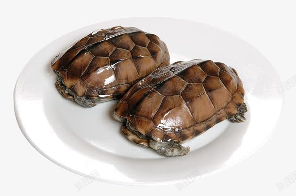 盘子里的乌龟png免抠素材_新图网 https://ixintu.com 2只乌龟 中国美食 乌龟 产品实物 美食 菜品 餐饮