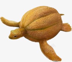 哈密瓜做的乌龟素材
