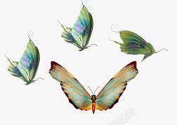四只彩色蝴蝶飞来飞去素材