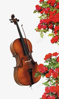 小提琴花朵素材