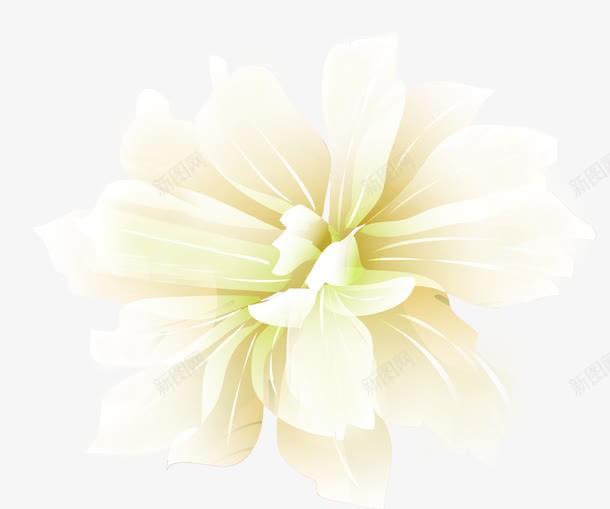 白色唯美花朵艺术png免抠素材_新图网 https://ixintu.com 白色 艺术 花朵