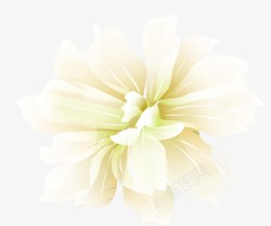白色唯美花朵艺术素材