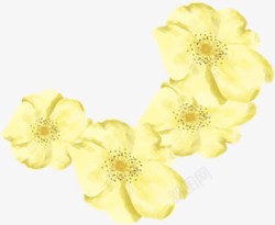 创意合成黄色水彩花卉在植物素材