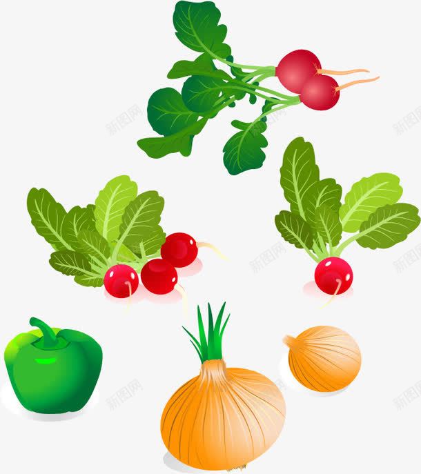 洋葱萝卜蔬菜png免抠素材_新图网 https://ixintu.com png 洋葱 矢量素材 素材 萝卜 萝卜素材 蔬菜 蔬菜素材