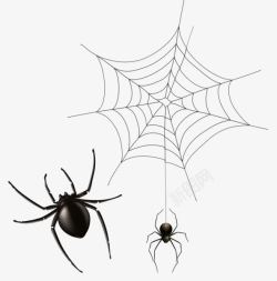 结网手绘正在结网的蜘蛛高清图片
