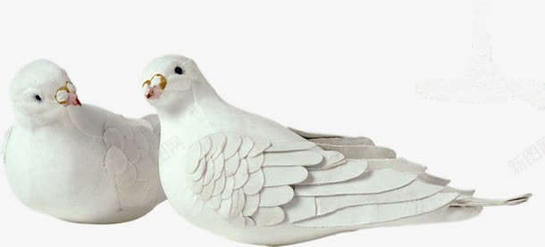 白色两只鸽子png免抠素材_新图网 https://ixintu.com 动物 卡通 手绘 白色 装饰