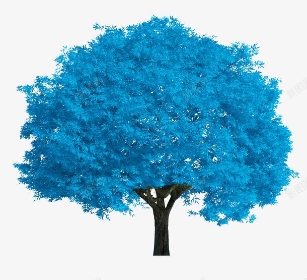 蓝色的树png免抠素材_新图网 https://ixintu.com 树 树干 蓝叶子 蓝色