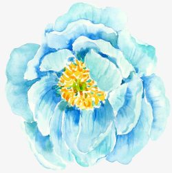 浅蓝色花朵素材