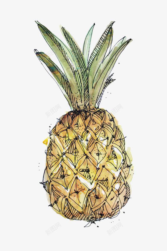 卡通菠萝png免抠素材_新图网 https://ixintu.com 凤梨 创意水果 大菠萝 手绘菠萝 菠萝插画