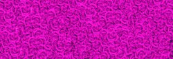 粉紫色玫瑰海报背景七夕情人节素材