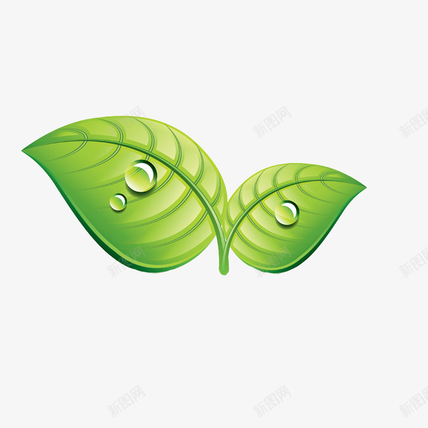 树叶png免抠素材_新图网 https://ixintu.com 带水滴的新鲜树叶