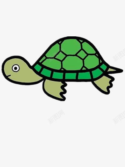 缓慢的小乌龟png免抠素材_新图网 https://ixintu.com 动物 图片 素材 绿色