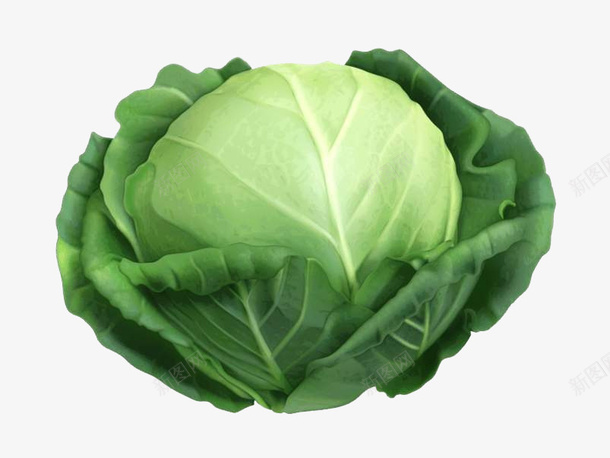 卷心菜蔬菜png免抠素材_新图网 https://ixintu.com 卷心菜 菜类图片 蔬菜 设计 高丽菜 高清