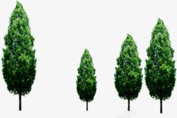 绿树环保植物绿化素材