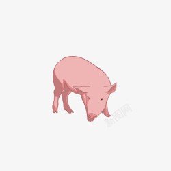 生肖趣味手绘猪猪高清图片