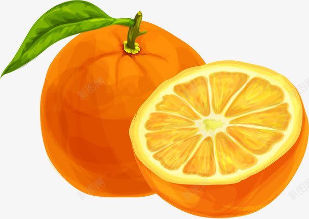 金橘色橙子png免抠素材_新图网 https://ixintu.com 橙子 水果 矢量素材 脐橙 补充营养