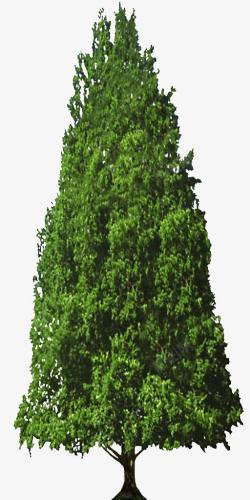 绿色植物背景树木素材