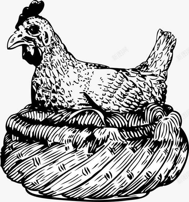 在篮子里的母鸡png免抠素材_新图网 https://ixintu.com 下单的母鸡 免费矢量下载 在篮子里的母鸡 复古 手绘
