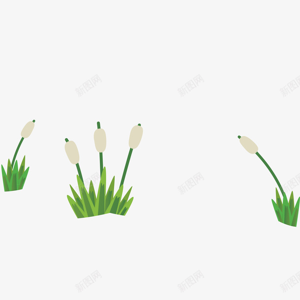 3颗水仙花朵png免抠素材_新图网 https://ixintu.com 卡通的 植物 水仙花 花朵