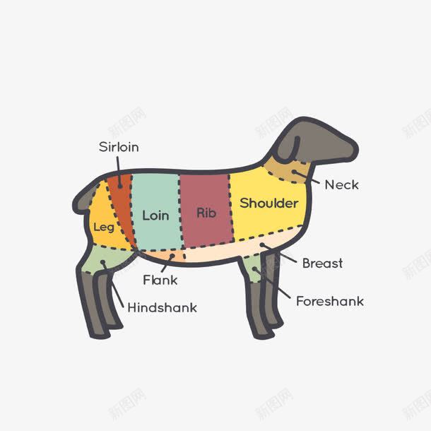 羊肉部位分割图png免抠素材_新图网 https://ixintu.com 上脑 外脊 里脊 颈肉