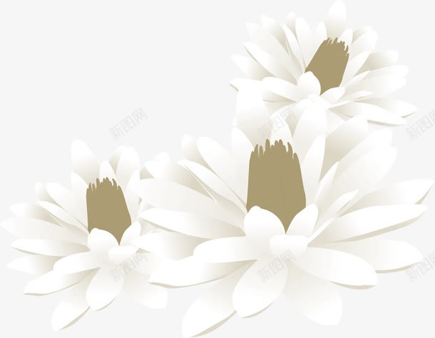 白色唯美水彩花朵立体png免抠素材_新图网 https://ixintu.com 水彩 白色 立体 花朵