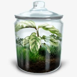 绿色的玻璃容器图标png_新图网 https://ixintu.com grassy mac terrarium 玻璃容器 长满草的