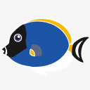 刺尾鱼鱼加勒比梦鱼图标png_新图网 https://ixintu.com Acanthurus fish leucosternum 刺尾鱼 鱼