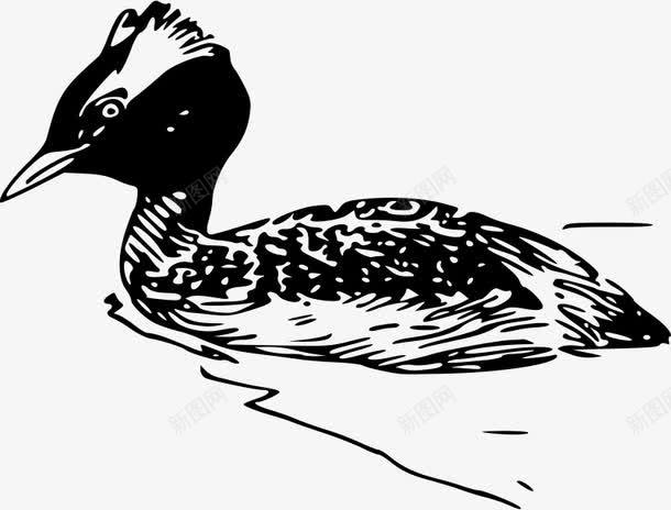 水里游的手绘鸭子png免抠素材_新图网 https://ixintu.com 卡通的 小鸭子 鸭子 黑色的