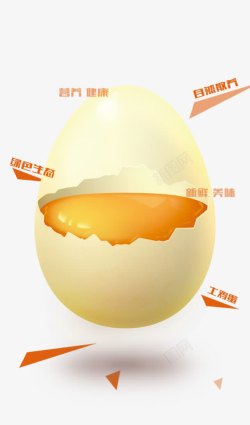 黄色蛋壳蛋黄营养素材
