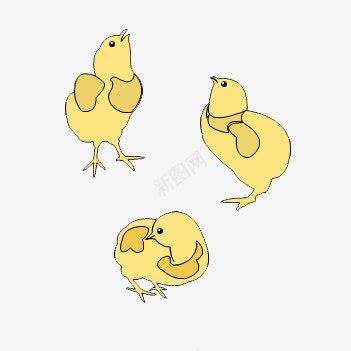 三只小鸡png免抠素材_新图网 https://ixintu.com 卡通 可爱 小鸡 黄色