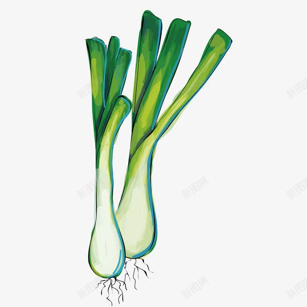 大葱png免抠素材_新图网 https://ixintu.com 一捆 根系 装饰 配料 食材