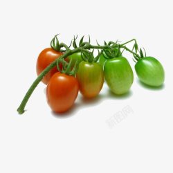 小番茄水果图形素材
