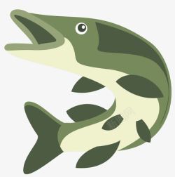 绿色海鱼翻身绿色大嘴北美狗鱼高清图片