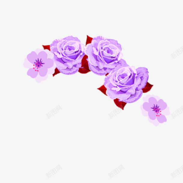 紫色玫瑰花png免抠素材_新图网 https://ixintu.com 叶子 植物 玫瑰花 紫色 花朵 花环