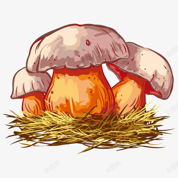 卡通蘑菇png免抠素材_新图网 https://ixintu.com 棣欒弴 鍗 鑿囩被 鑿屽瓙 铇戣弴