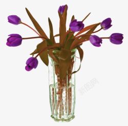 紫色花朵瓶子插花素材