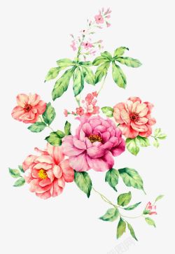 免抠图树和花一颗花树高清图片